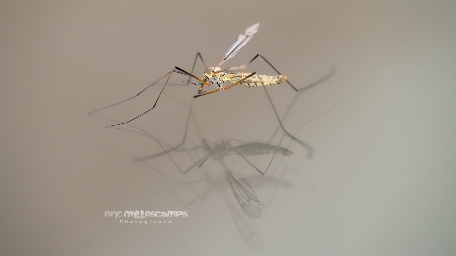 EMI 1945   Version 3